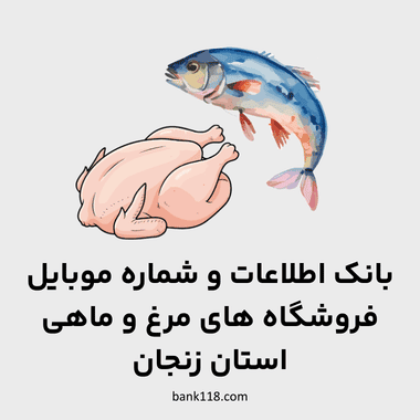 اطلاعات فروشگاه های مرغ و ماهی زنجان