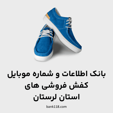 اطلاعات کفش فروشی های لرستان
